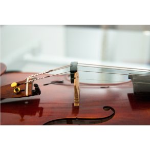 Alpine mute, The artist<br>Til violin og bratsch
